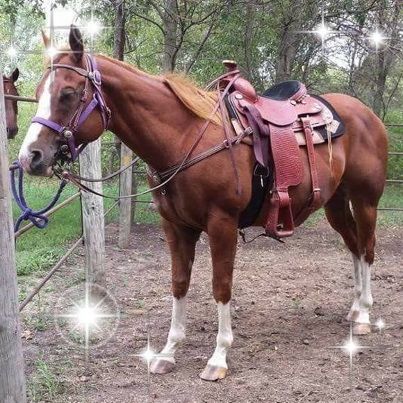 Meet your Posher, Leann - Picture 1 of 1